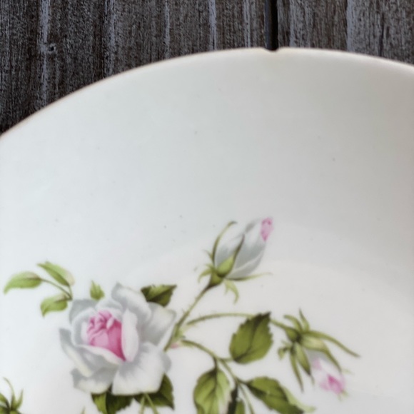 Vintage Rare Floral Salad Dessert Ceramic Plate - Picture 3 of 5